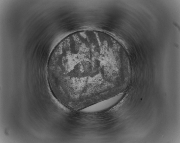X0000098121239200804251444