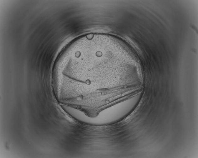 X0000098121240200804251444