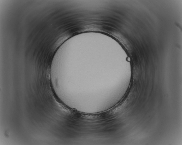 X0000098121241200804251444