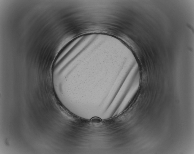 X0000098121242200804251444
