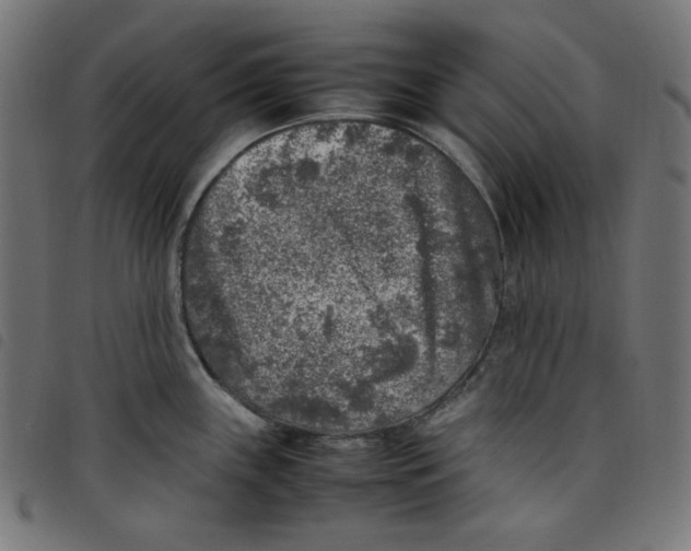 X0000098121243200804251444