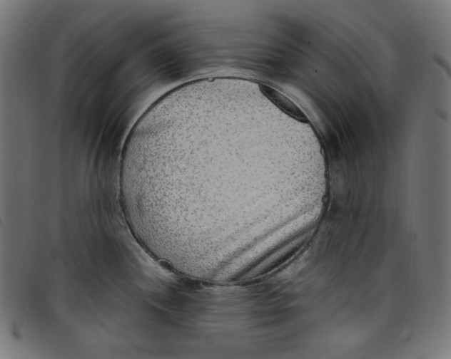 X0000098121244200804251444