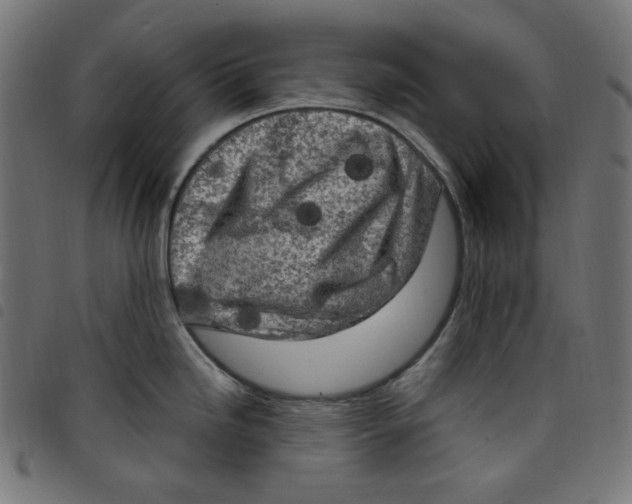 X0000098121246200804251444