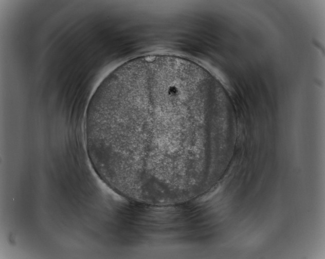 X0000098121247200804251444