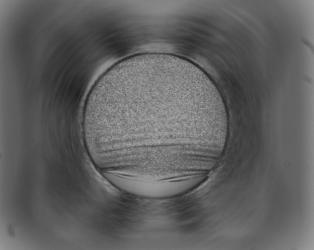 X0000098121248200804251444