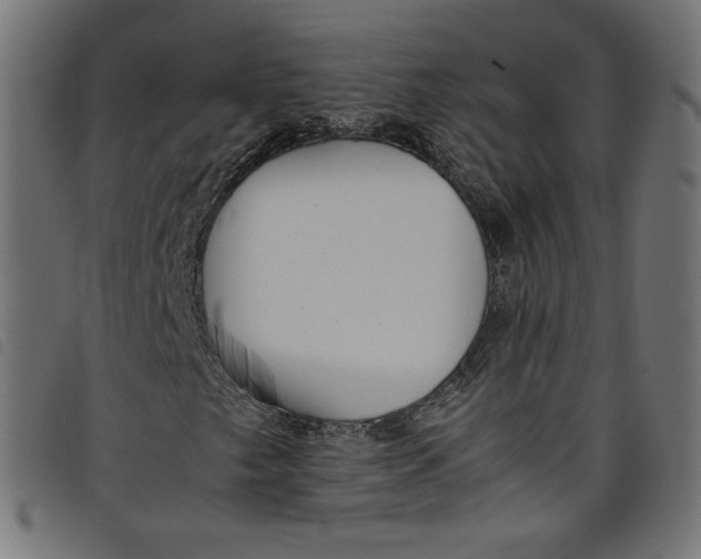 X0000098121249200804251444