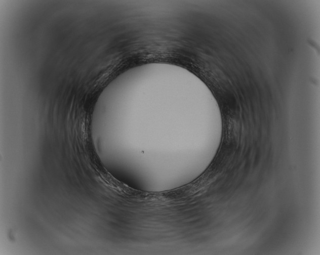 X0000098121250200804251444