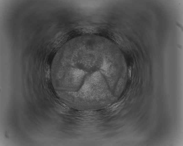 X0000098121251200804251444