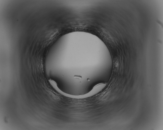 X0000098121252200804251444