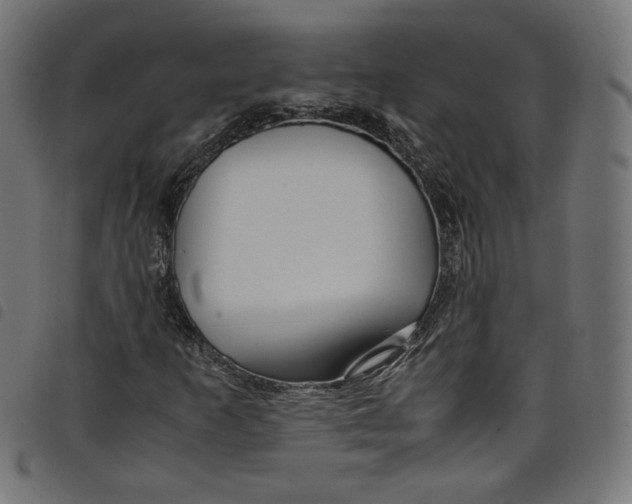 X0000098121253200804251444
