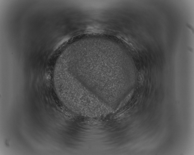X0000098121254200804251444