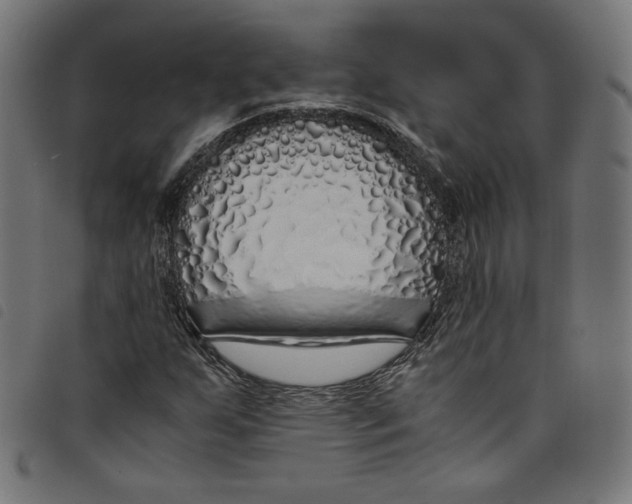 X0000098121255200804251444