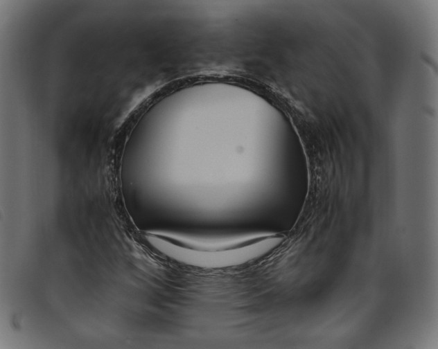 X0000098121256200804251444