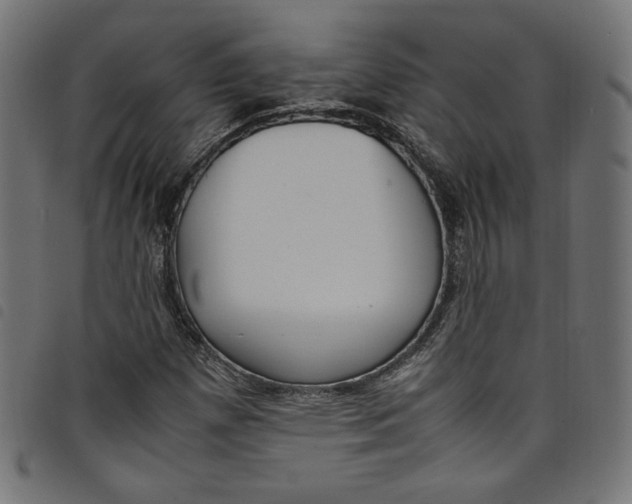 X0000098121257200804251444