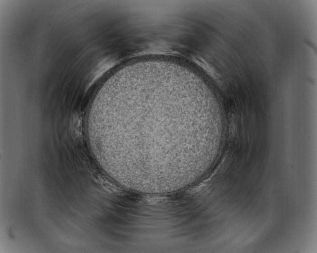 X0000098121258200804251443