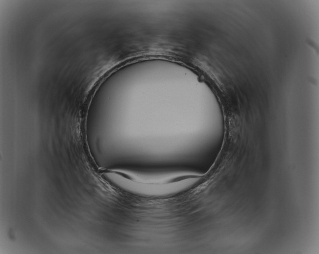 X0000098121260200804251443
