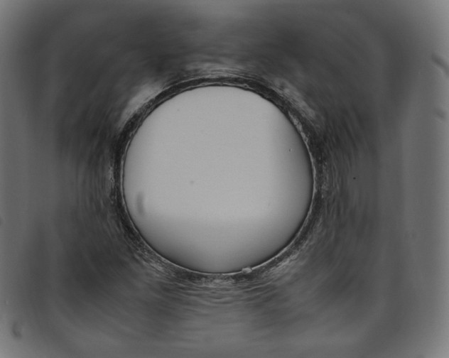 X0000098121261200804251443