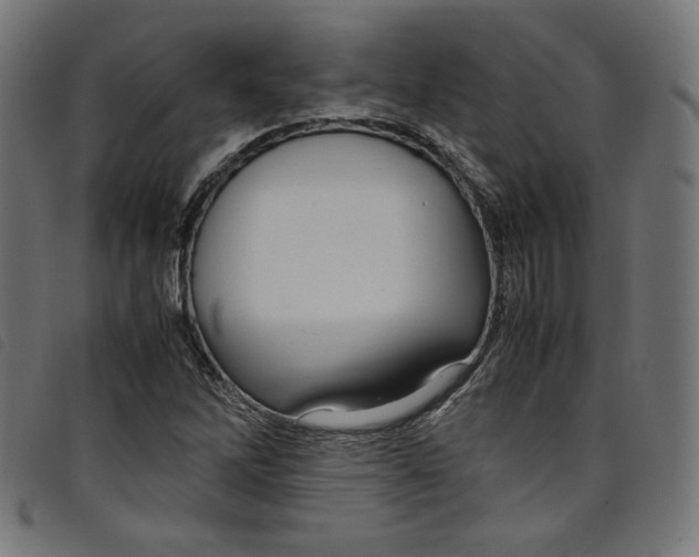 X0000098121262200804251443
