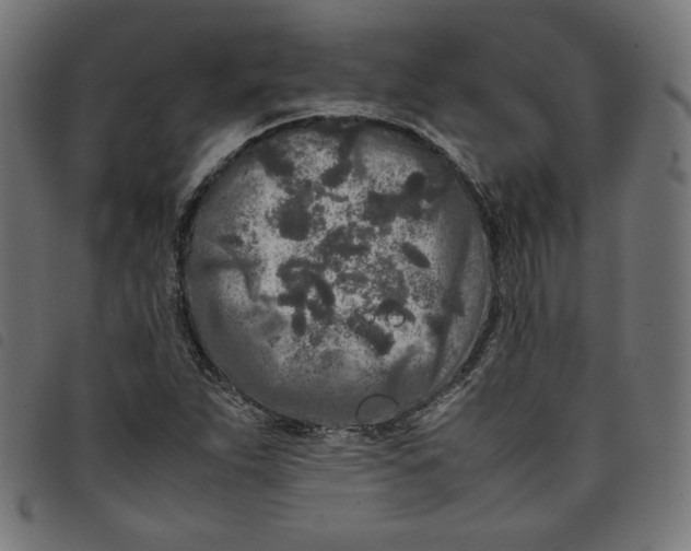 X0000098121263200804251443