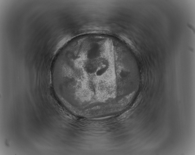 X0000098121267200804251443
