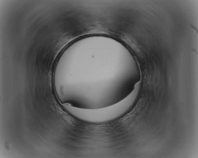 X0000098121268200804251443