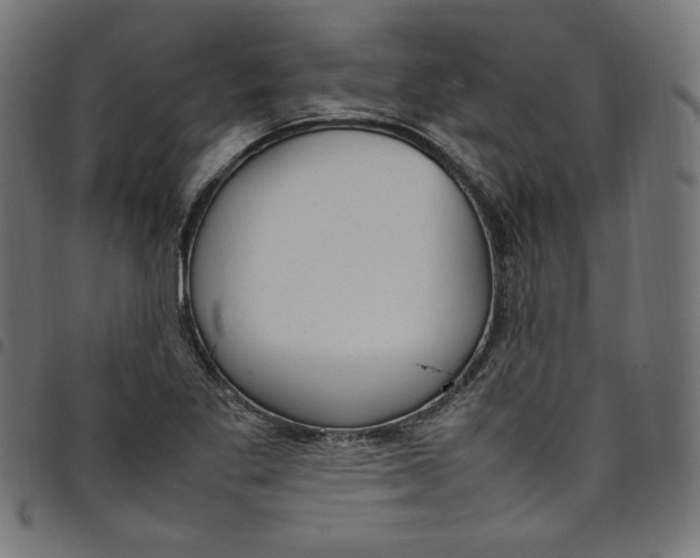 X0000098121269200804251443