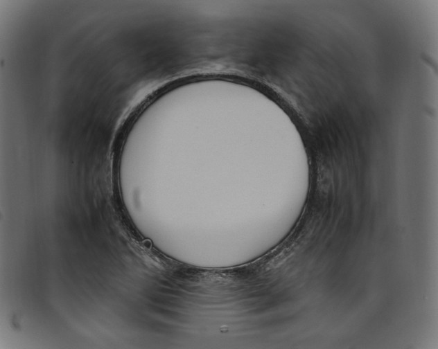 X0000098121270200804251443