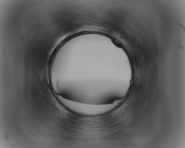 X0000098121272200804251443