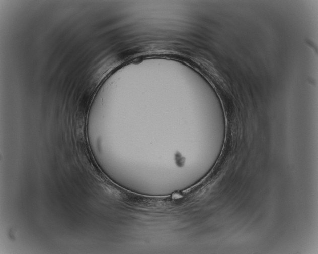 X0000098121273200804251443