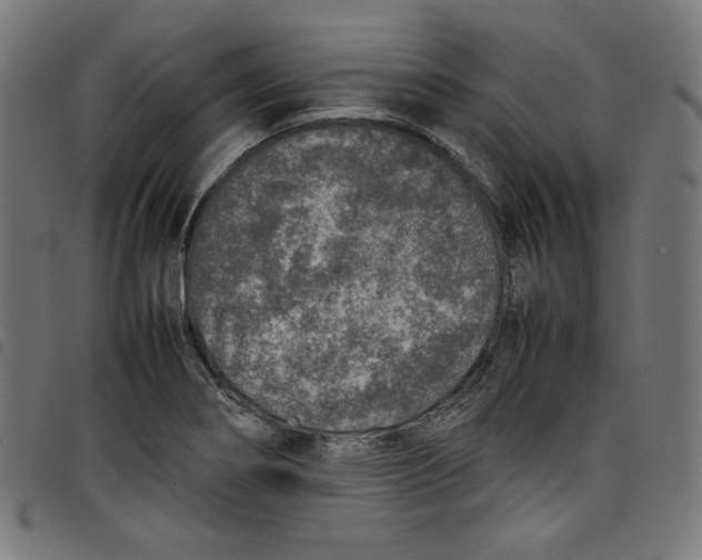X0000098121274200804251443