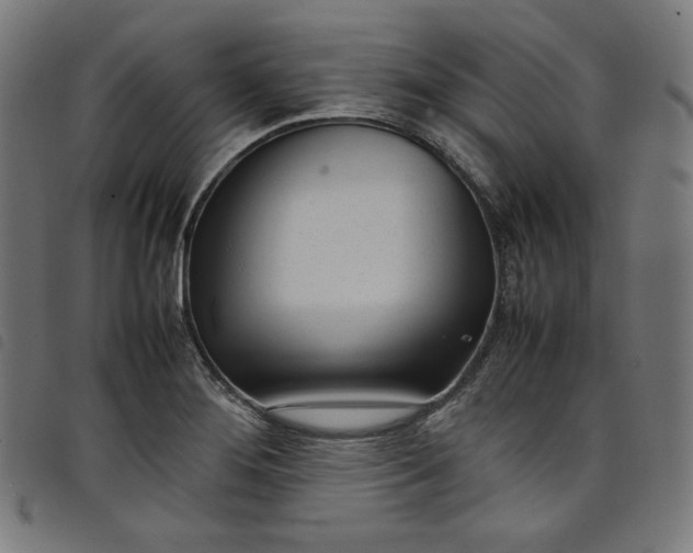 X0000098121276200804251443