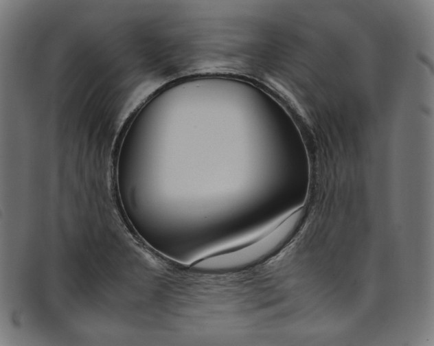 X0000098121277200804251443