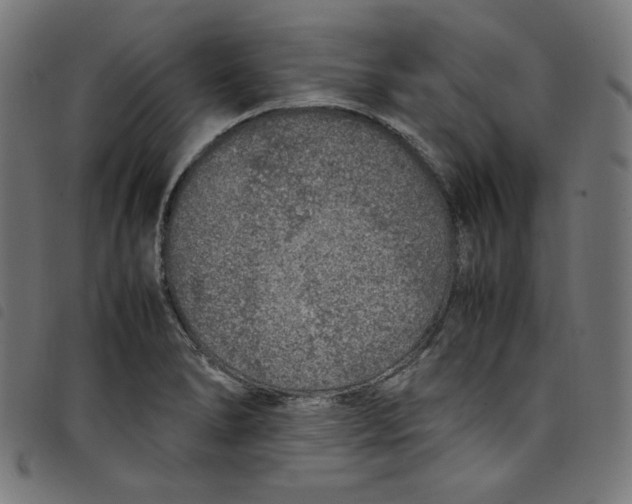 X0000098121278200804251443