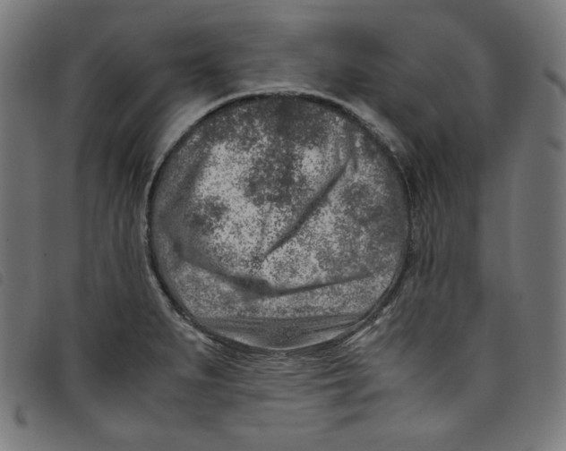 X0000098121279200804251443
