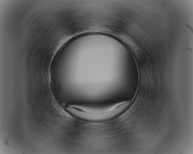 X0000098121280200804251443