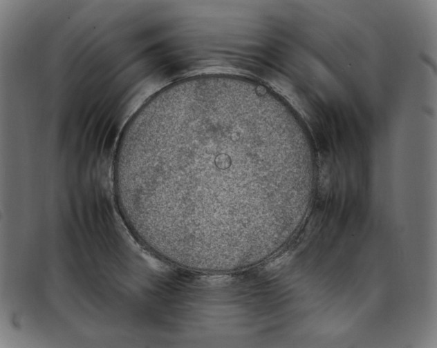 X0000098121282200804251443