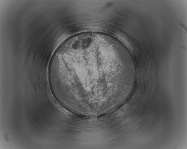 X0000098121283200804251443