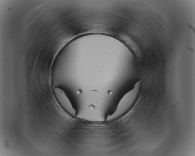 X0000098121284200804251443