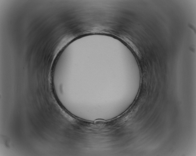 X0000098121285200804251443