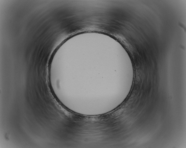 X0000098121286200804251443
