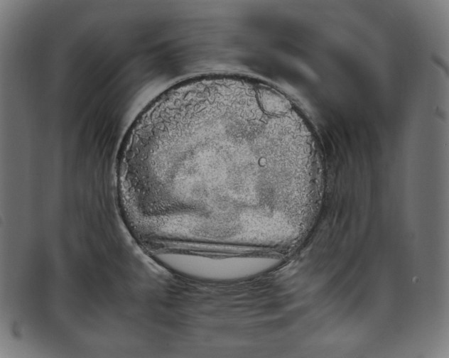 X0000098121287200804251443