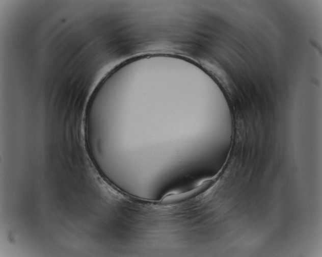 X0000098121288200804251443