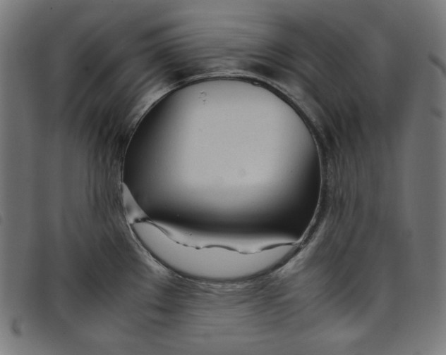 X0000098121289200804251443