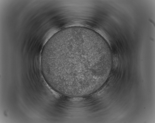 X0000098121290200804251443