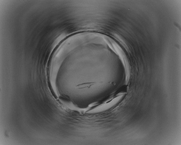 X0000098121291200804251443