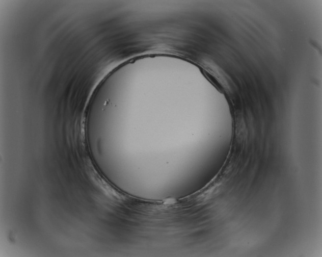 X0000098121292200804251443