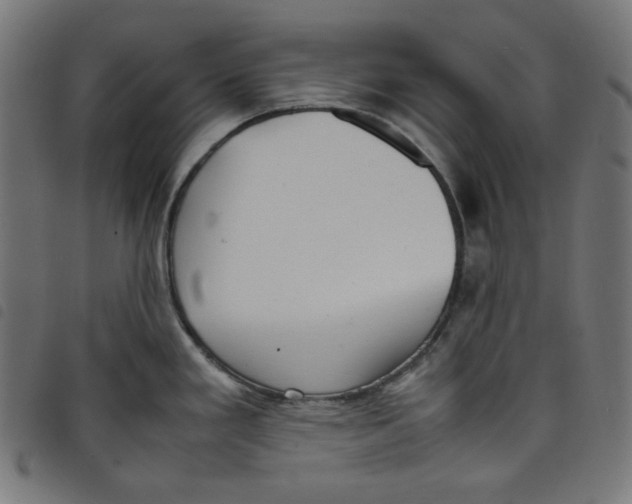 X0000098121293200804251443