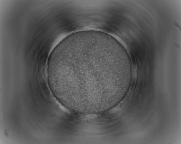 X0000098121294200804251443
