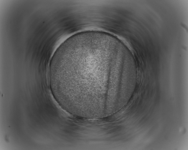X0000098121295200804251443