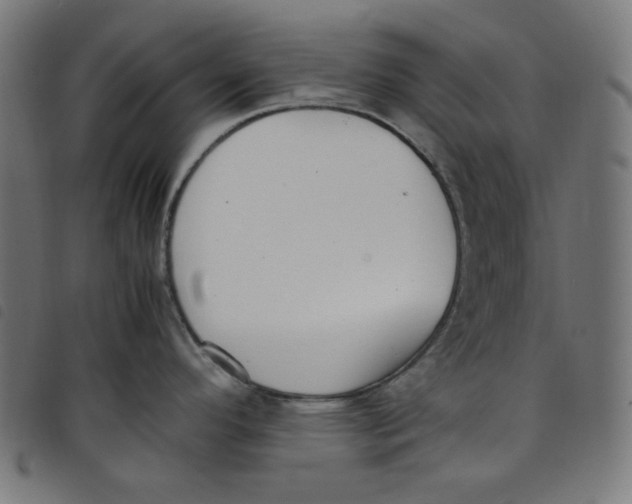 X0000098121296200804251443